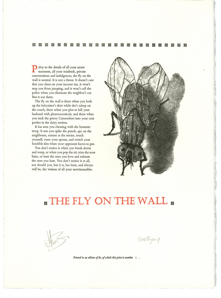 Item #191 The Fly On The Wall. Jason BRINK, Jim WESTERGARD.