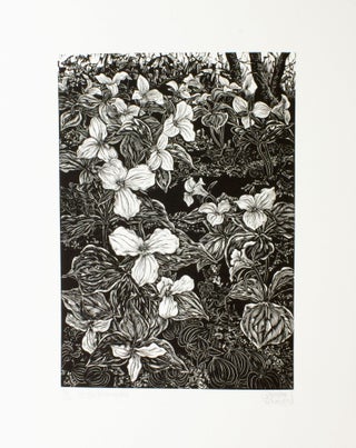 Item #284 In the Trillium Dell. Gerard Brender à. Brandis, Wood Engraving
