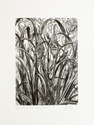 Item #286 Phragmipedium Tetzlaffianum. Gerard Brender à. Brandis, Wood Engraving