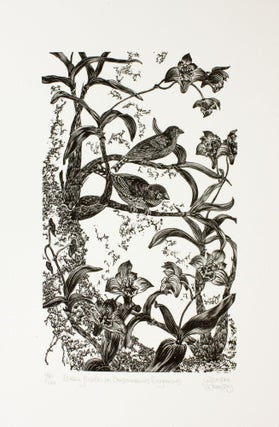 Item #291 Zebra Finches on Dendrobium Kingianum. Gerard Brender à Brandis, Wood Engraving