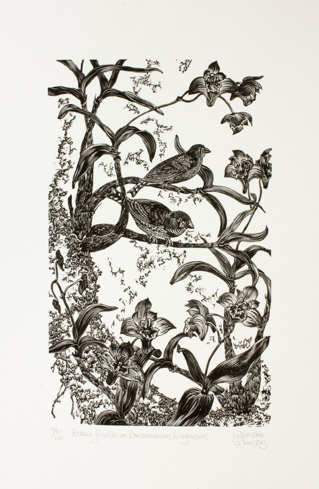 Item #291 Zebra Finches on Dendrobium Kingianum. Gerard Brender à Brandis, Wood Engraving.