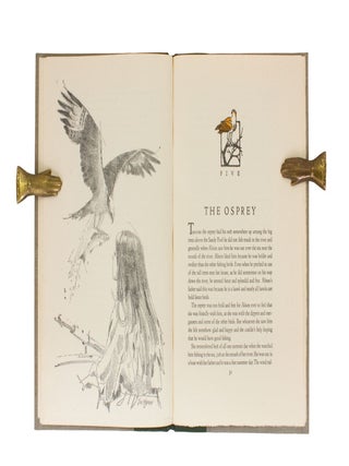 Alison’s Fishing Birds; | Illustrated by Jim Rimmer